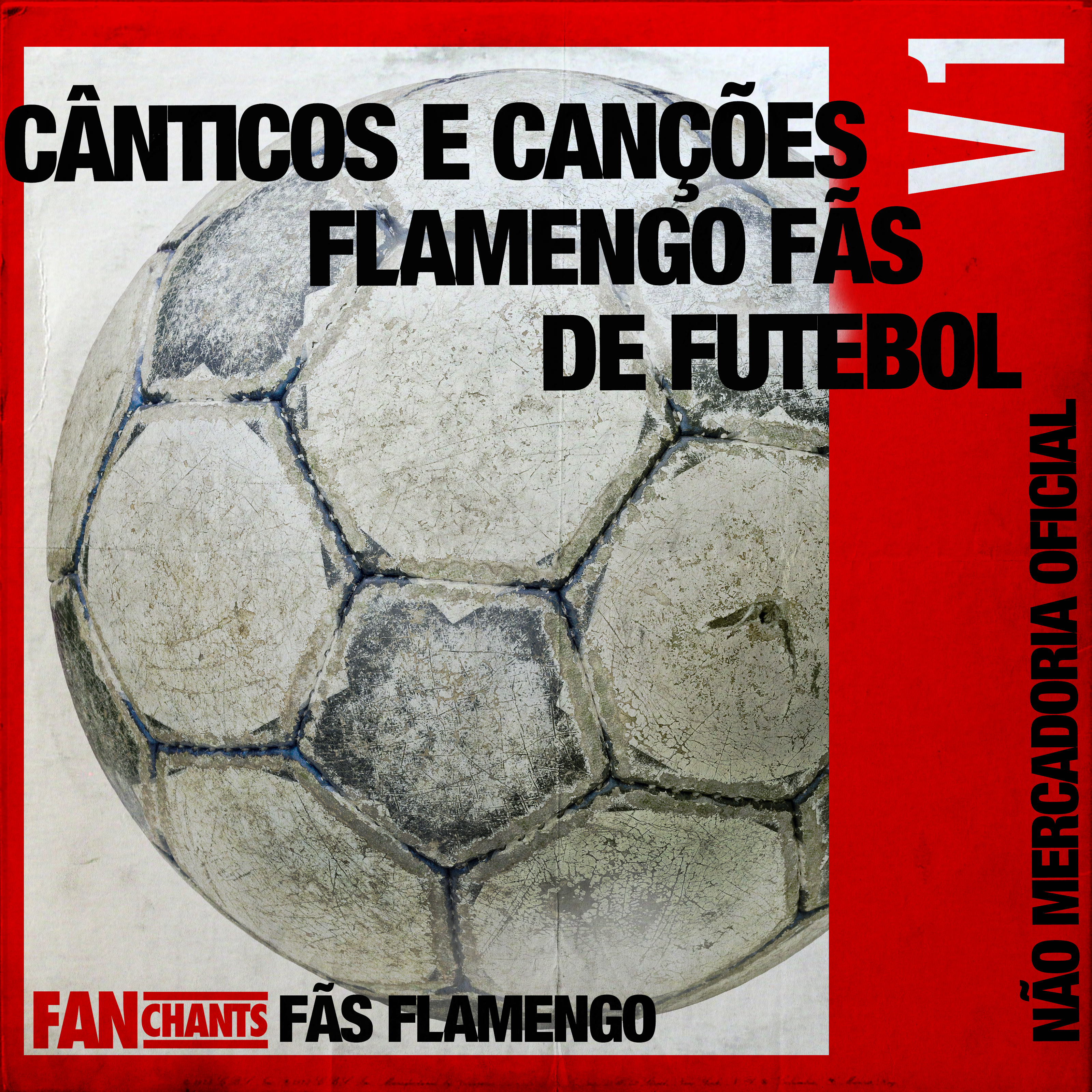 Festa na Favela album cover