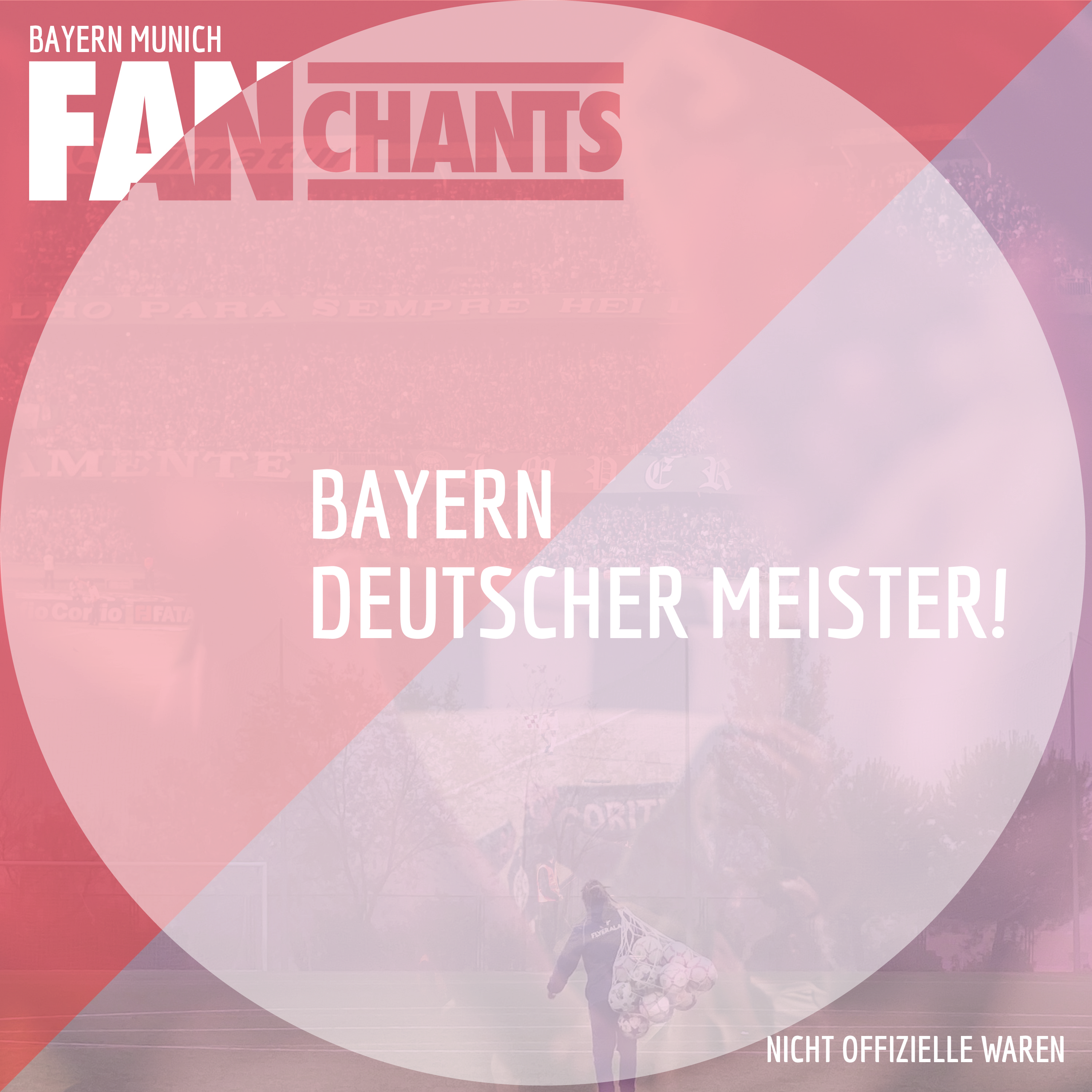 Bayern Deutscher Meister! album cover