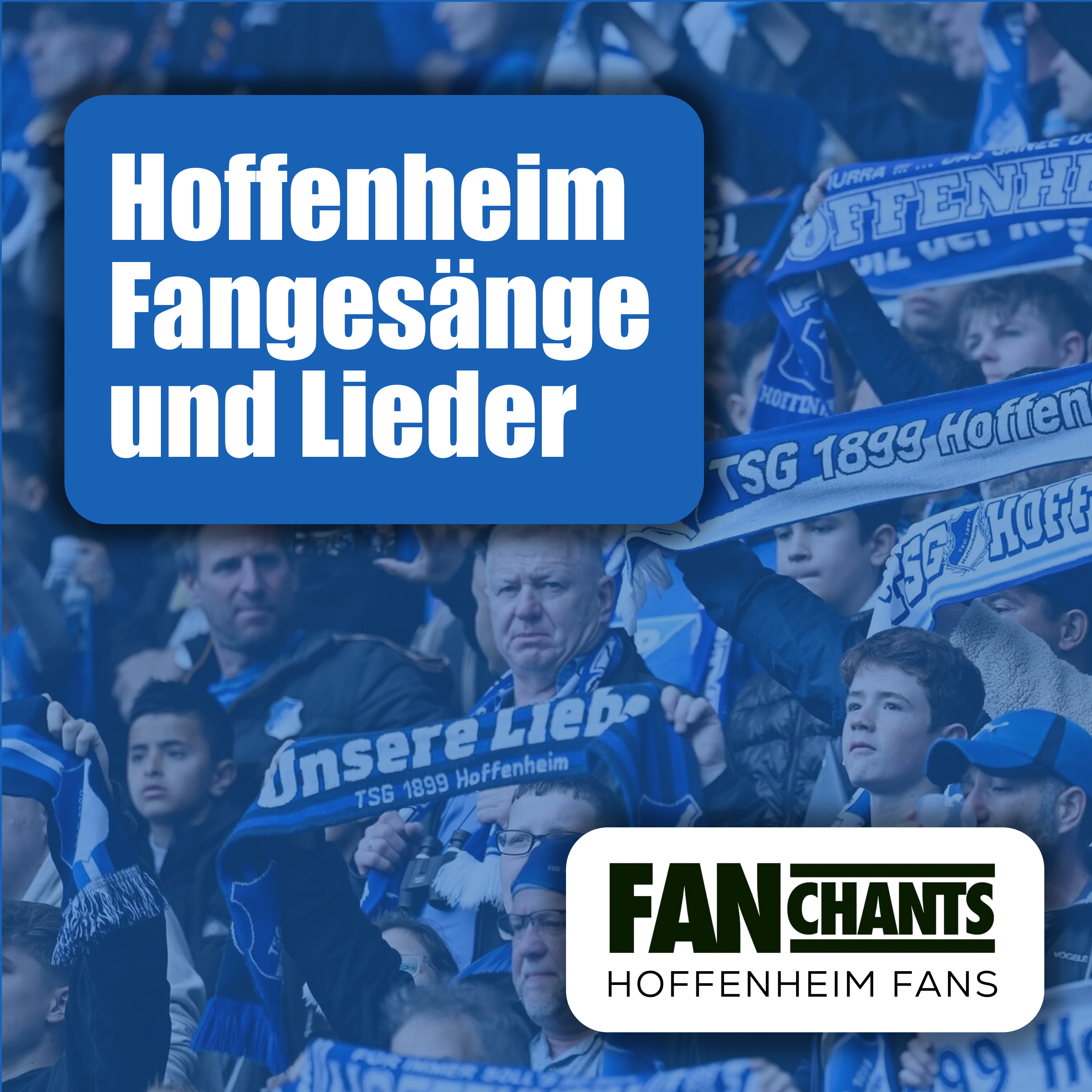 Hoffe mit rhythmus album cover