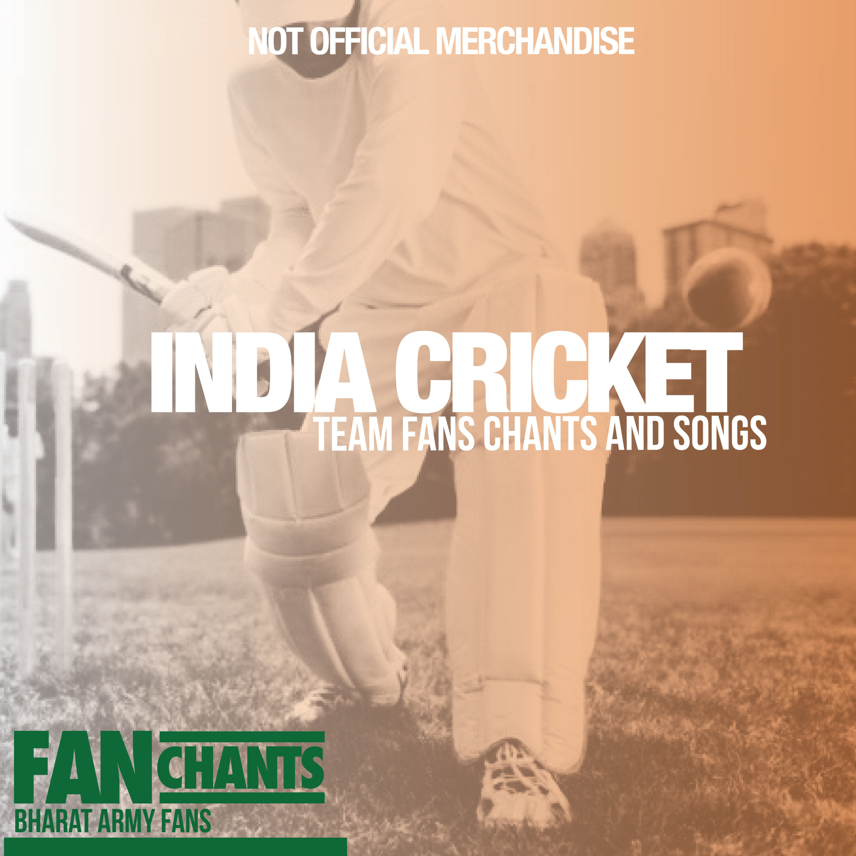 We Love You Sachin album cover
