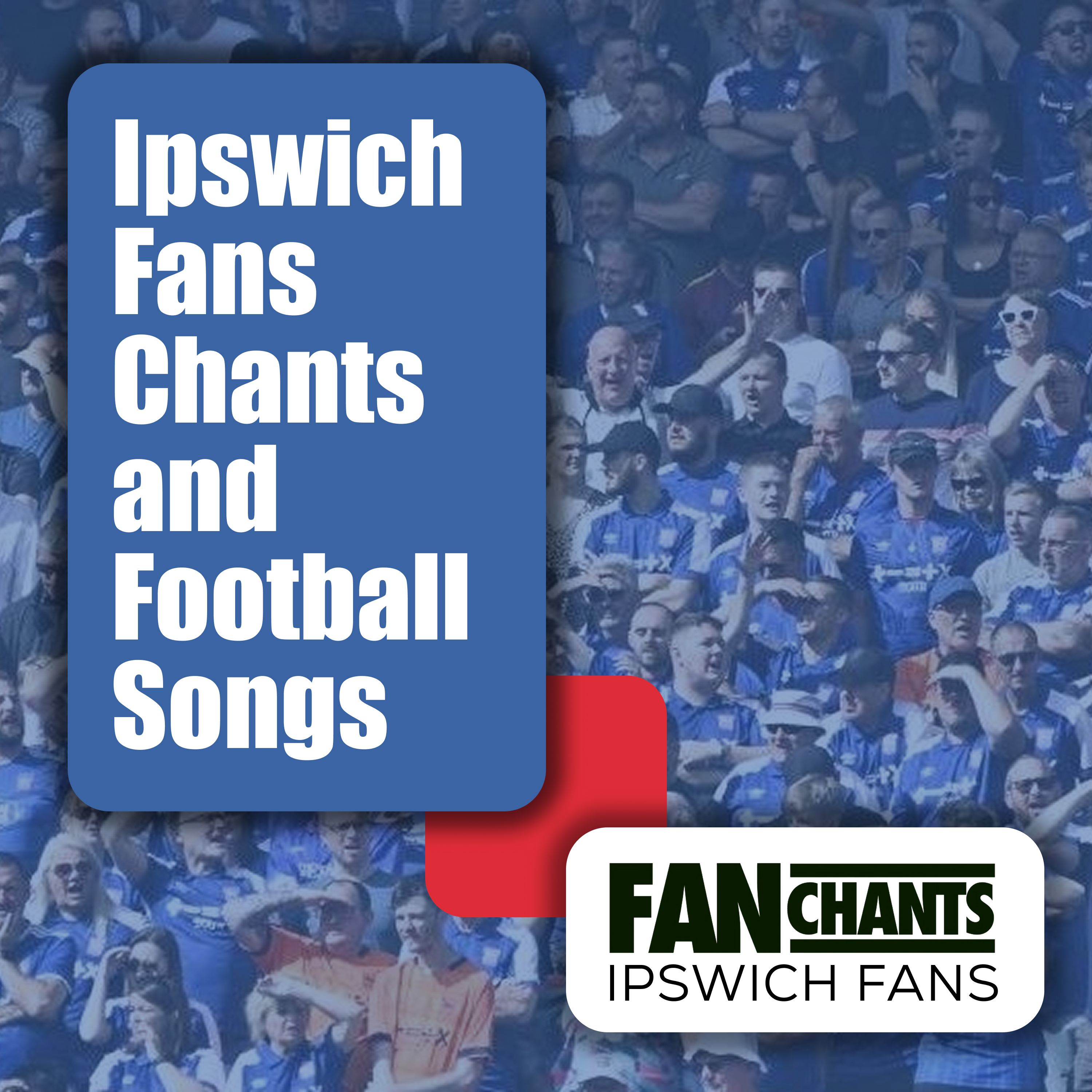 We Love You Ipswich album cover