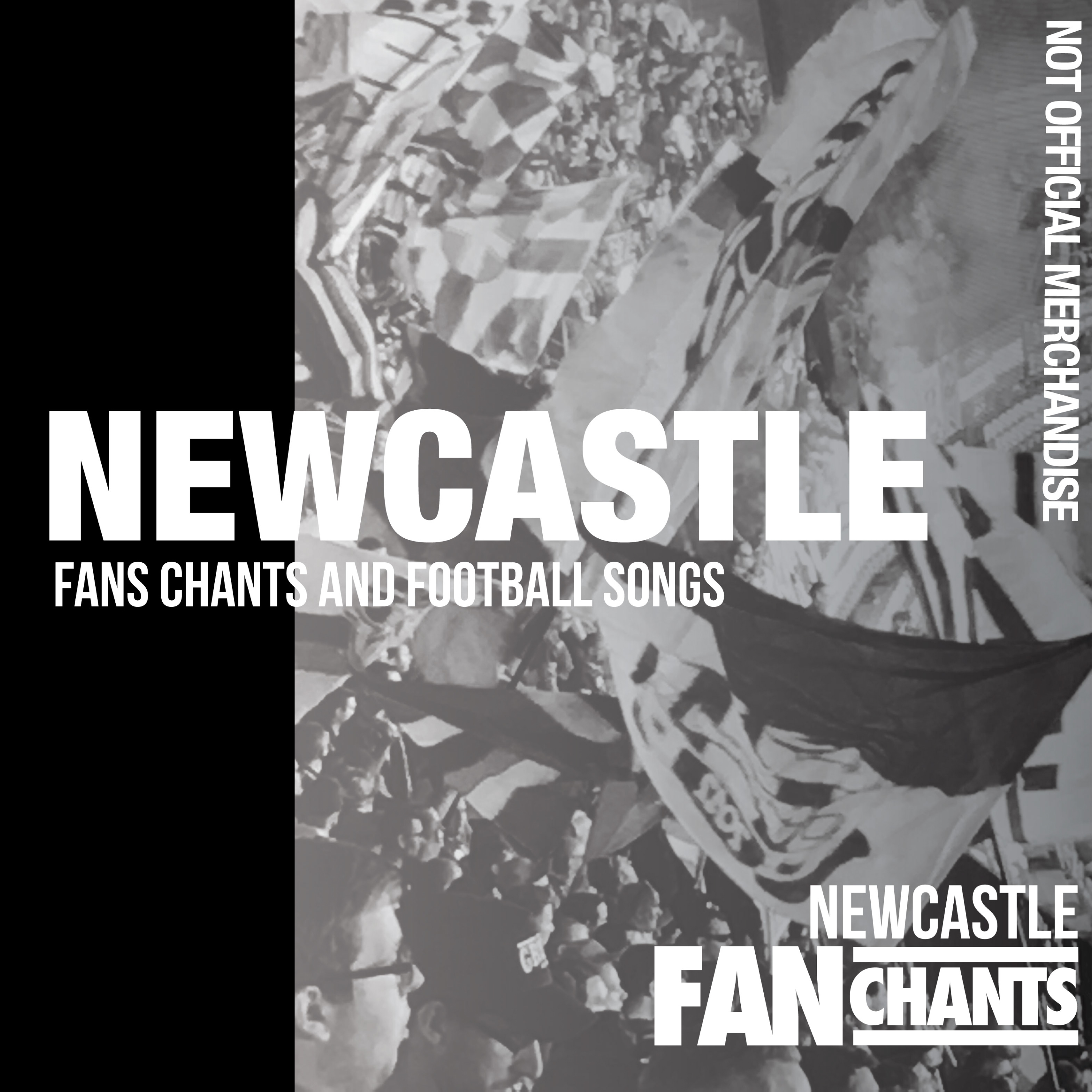 What Do You Think of Sunderland? album cover