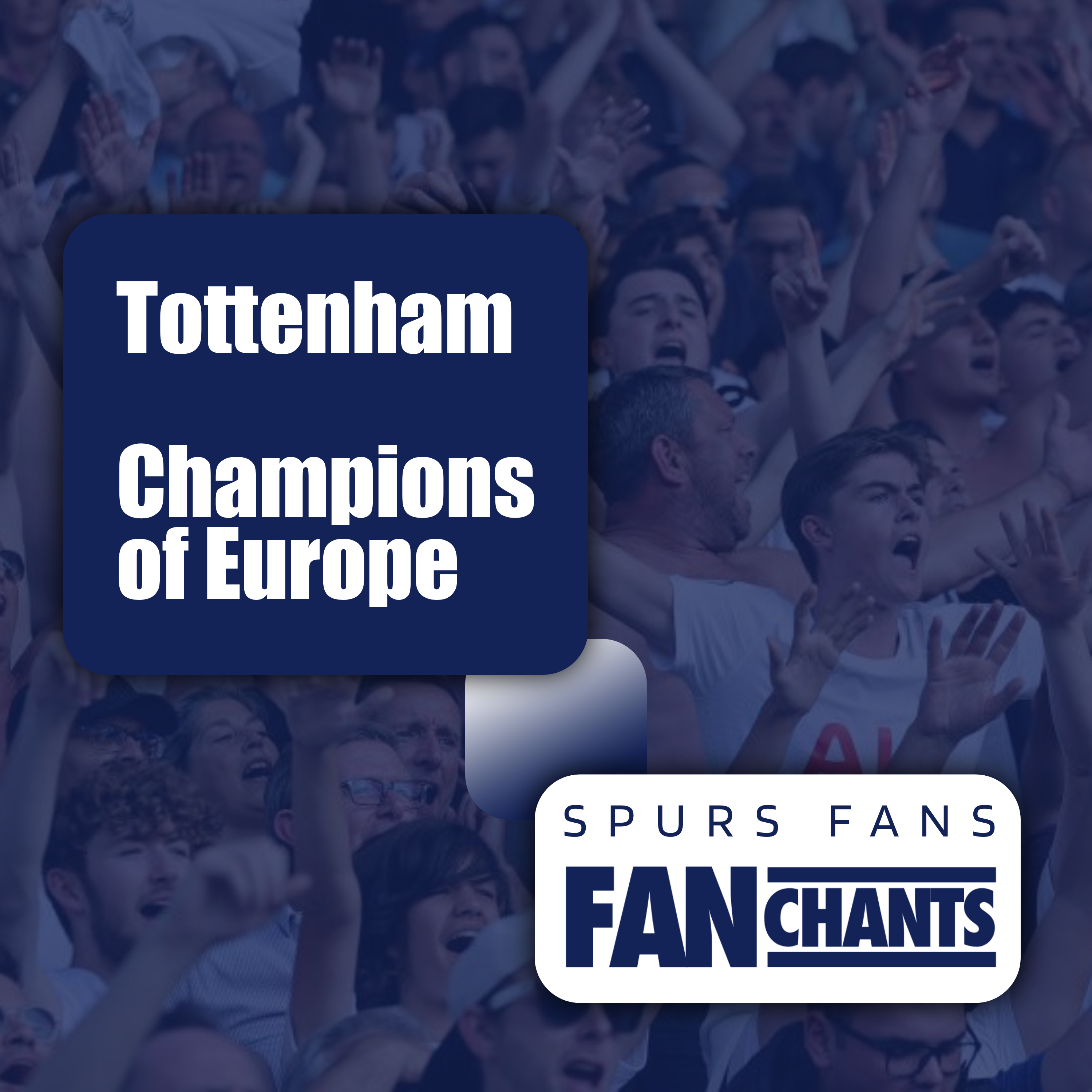 Tottenham Champions of Europe album cover