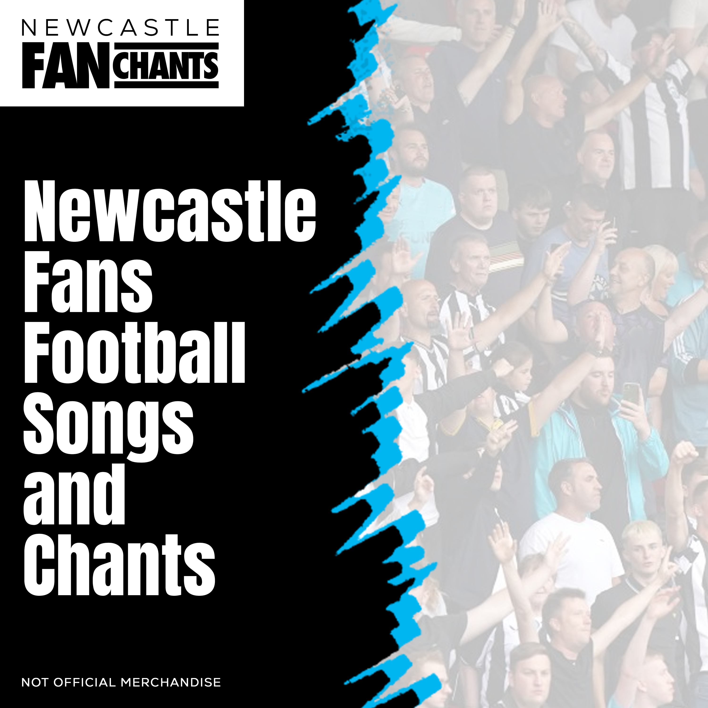 We Love Newcastle album cover