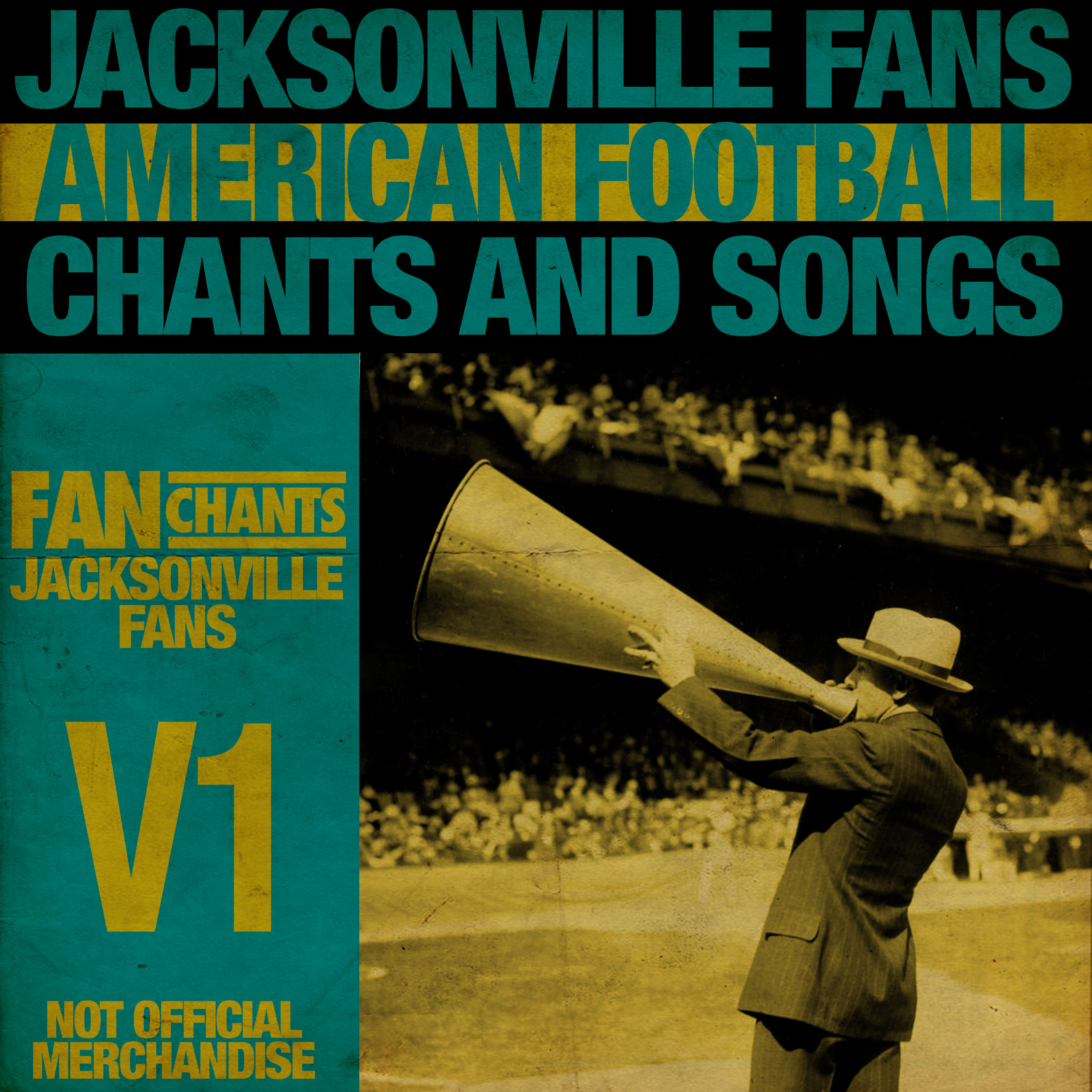 We Are Jaguars album cover