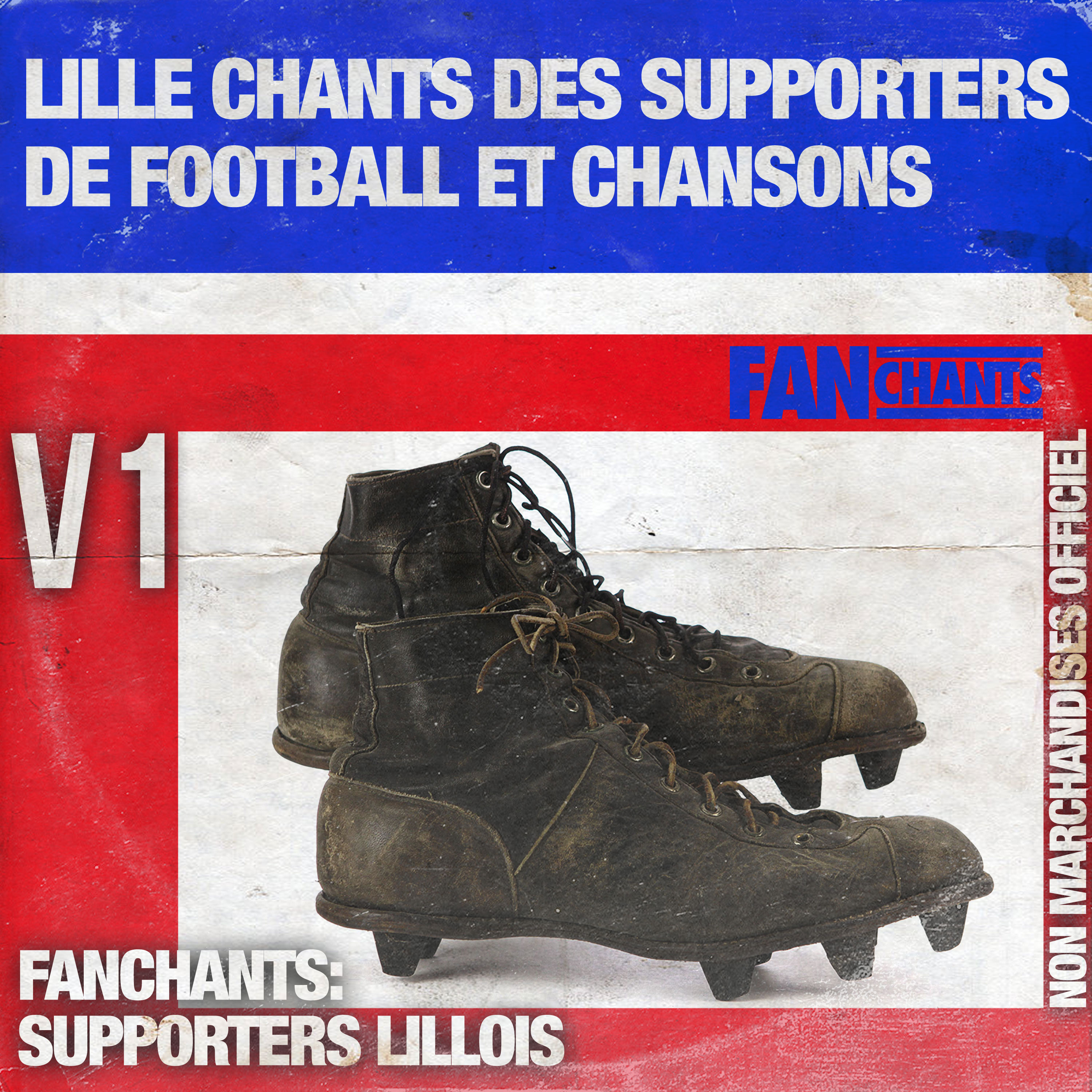 Tout le LOSC allez album cover